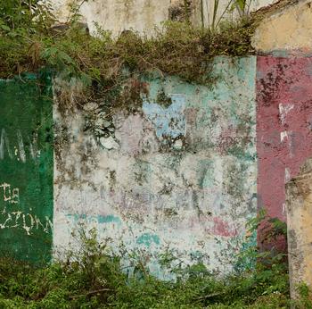 Yucatan Wall